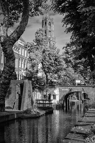 La tour Dom d'Utrecht en noir et blanc vue du canal Nieuwegracht sur André Blom Fotografie Utrecht