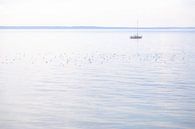 Bateau en mer par Tot Kijk Fotografie: natuur aan de muur Aperçu