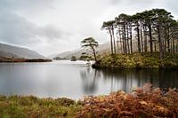 Eilean Na Moine (islet) Glencoe Scotland