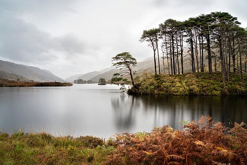 Eilean Na Moine (eilandje) Glencoe Schotland van Ab Wubben