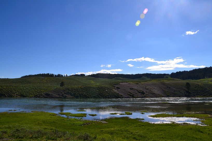 Jurassic Park by Wessel Smit