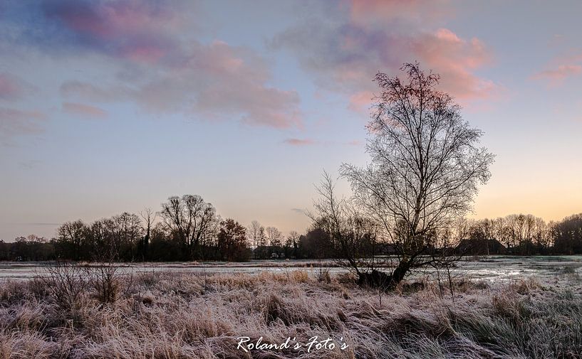 Stay Strong by Roland's Foto's