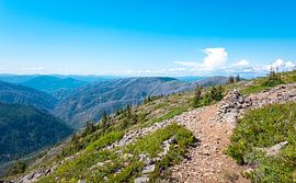 Pacific Crest Trail by Tashina van Zwam