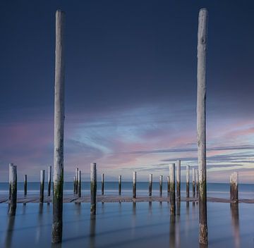 Palendorp Petten - 3 by Martin van Lochem