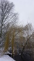 Sneeuwseizoen