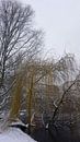 Sneeuwseizoen van fotograaf chaimaa thumbnail