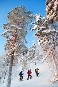 Raquettes à neige Finlande sur Menno Boermans