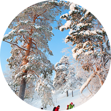 Sneeuwschoenwandelen Finland van Menno Boermans