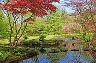 Japanischer Garten Clingendael von Wilma Overwijn Miniaturansicht