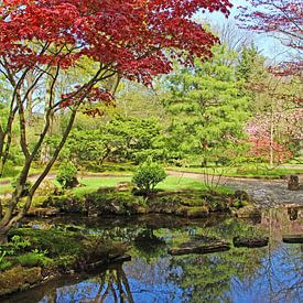 Japanse tuin Clingendael van Wilma Overwijn