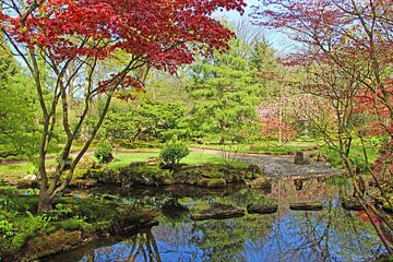 Japanse tuin Clingendael van Wilma Overwijn