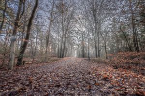 Herfstpaadje