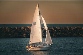 Segelyachthafen Scheveningen von Robbin Metz