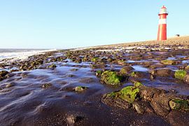 westkapelle  by Els Fonteine