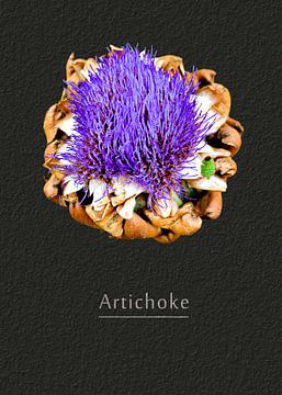 Artichoke van Leopold Brix