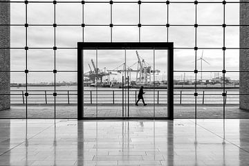 Hamburg container terminal in zwart-wit