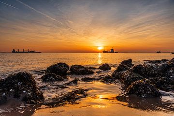 Lueur orange chaude sur Ria Overbeeke