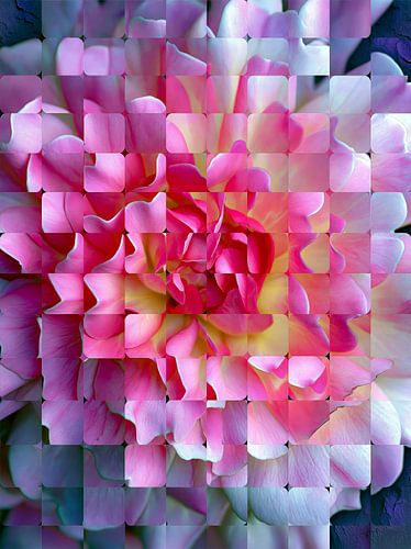Rosa Blüten in zarten Fragmenten von But First Framing