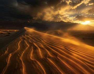 Lichtgevende woestijnpracht van fernlichtsicht