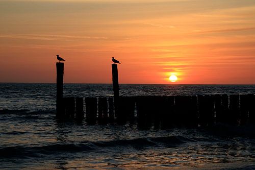 Zonsondergang aan zee