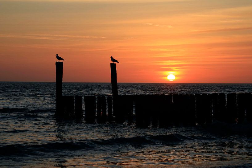 Sunset by the sea by shoott photography