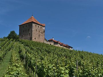 Middeleeuws kasteel Wildeck van Timon Schneider