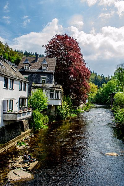 huizen langs de rivier von Mark van den Burg