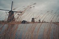 Molens van Kinderdijk van Jaap Burggraaf thumbnail