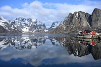Norwegen Lofoten Hamnoy Landschaft