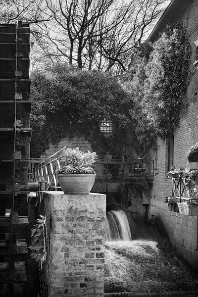  Lions Moulin à Maastricht , Pays-Bas par Christa Thieme-Krus