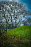 Paysage en vert et bleu
