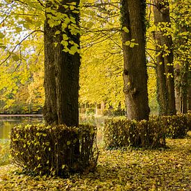 Vue d'automne depuis le sentier de randonnée du domaine de Soelen sur René Weijers
