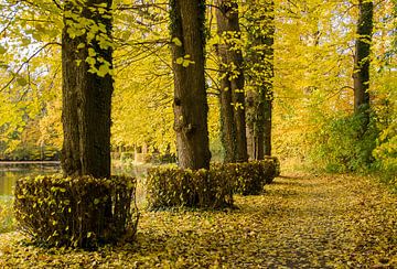 Herbstliche Aussicht vom Wanderweg Soelen Estate von René Weijers