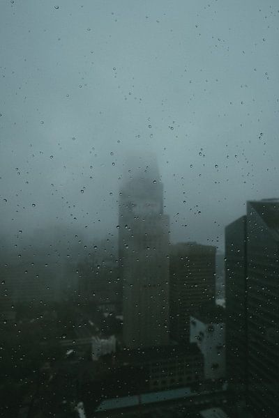 Montreal by Hello Pompoyo