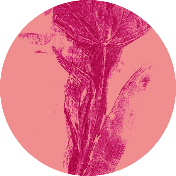 Moderne botanische kunst. Boho bloem in felle kleuren nr. 5 (gezien bij vtwonen) van Dina Dankers