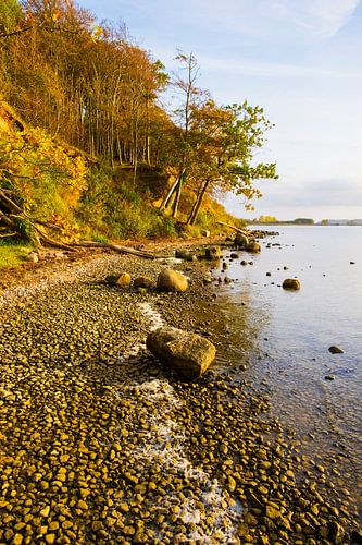 Bodden coast of Rügen