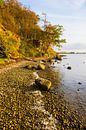 Bodden coast of Rügen by Ostsee Bilder thumbnail