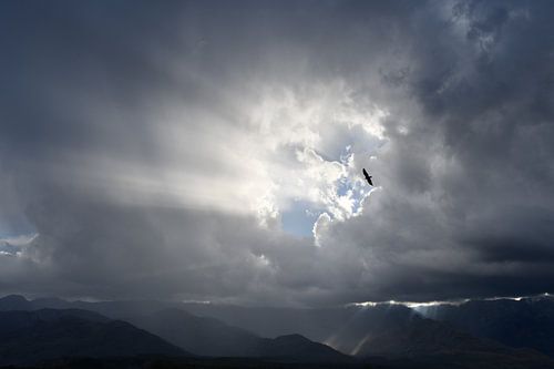 Dreigende wolken boven Pinaleno Mountains