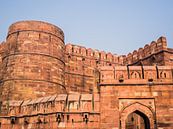 Rode Fort in Agra van Shanti Hesse thumbnail