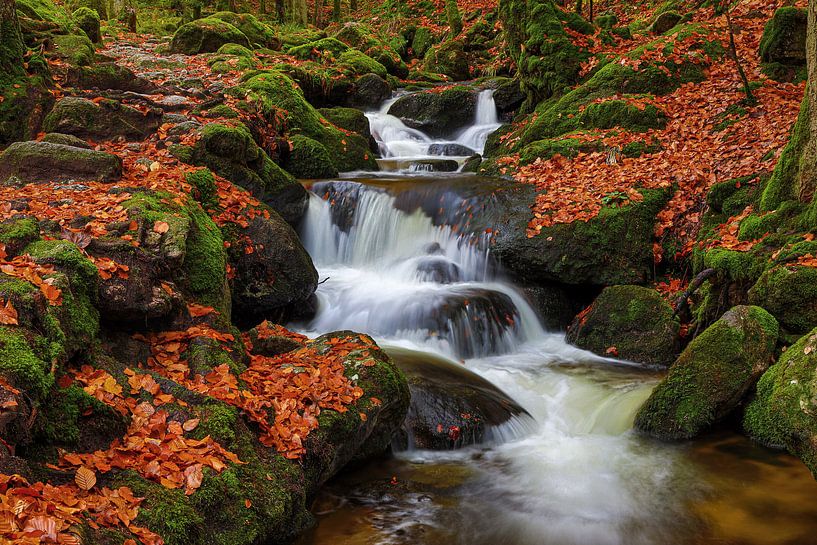 Wildbach im herbstlichen Wald von Thomas Herzog