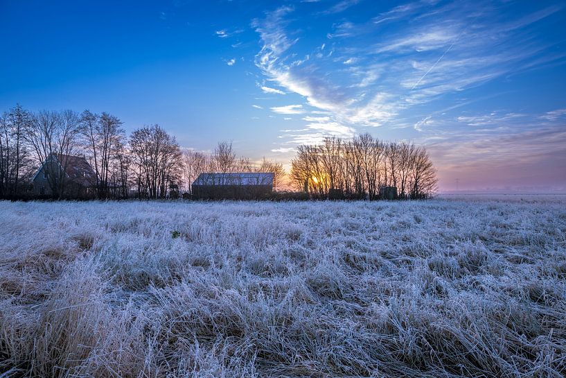 Ripe by peterheinspictures