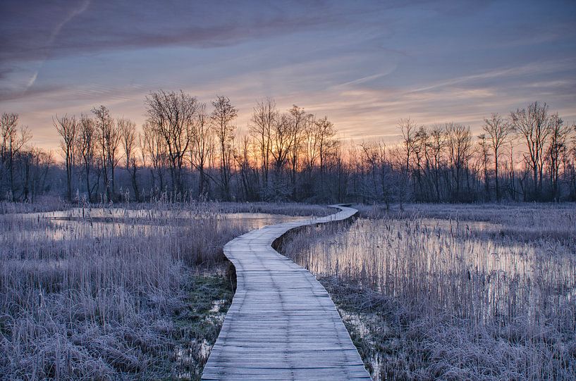 A freezin' winter morning by Martin Winterman