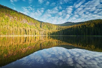 Frühmorgens am großen Arbersee von Max Schiefele