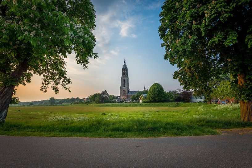 Spring Sun by Max ter Burg Fotografie