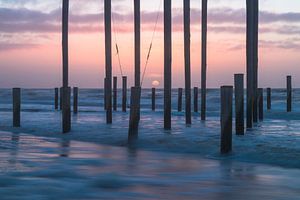 Palendorp Petten - 11
