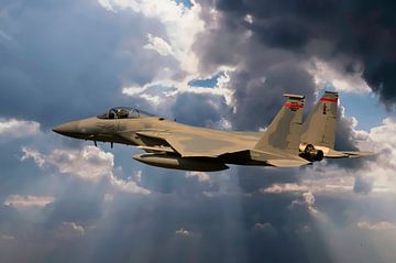 F-15 Eagle van Gert Hilbink