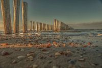 skyline zeeland