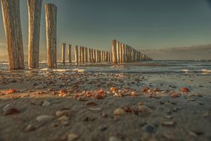 skyline zeeland von anne droogsma