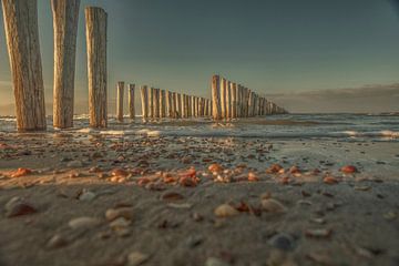 skyline zeeland by anne droogsma