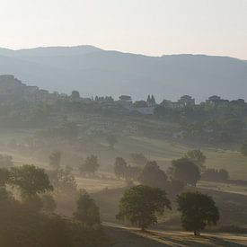 Nebel und Morgensonne in den Hügeln rund um Cantalupo, Italien von Margot van den Berg